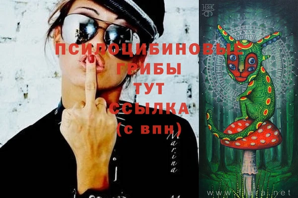 молекула духа Нязепетровск