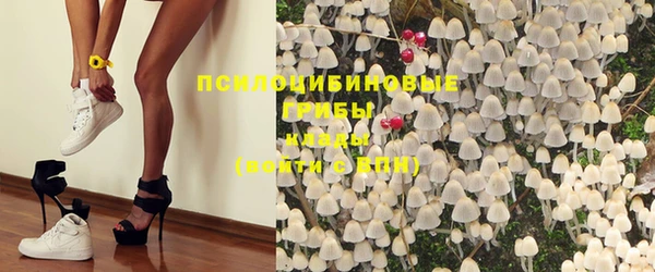 кокс Нягань