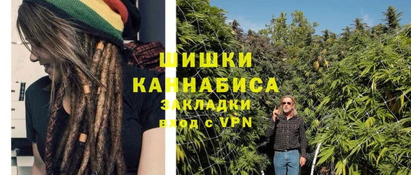 молекула духа Нязепетровск