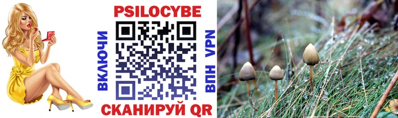 Галлюциногенные грибы MAGIC MUSHROOMS  купить  сайты  MEGA сайт  Смоленск 