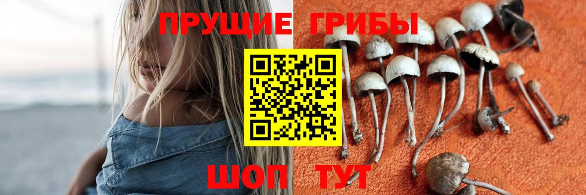 Галлюциногенные грибы Magic Shrooms Смоленск